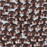 3mm (500 gross) Economy Octagon