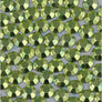 6mm (50 gross) Economy Octagon