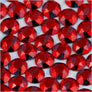 6mm (100 gross) Octagon